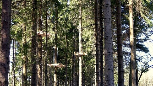 Bau des Kletterwald WInterberg