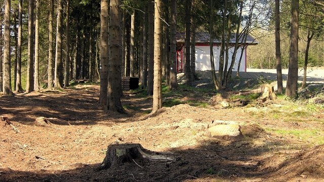 Kletterwald Winterberg im Bau